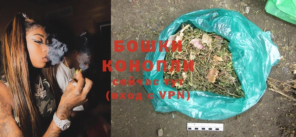 гидропоника Гусь-Хрустальный