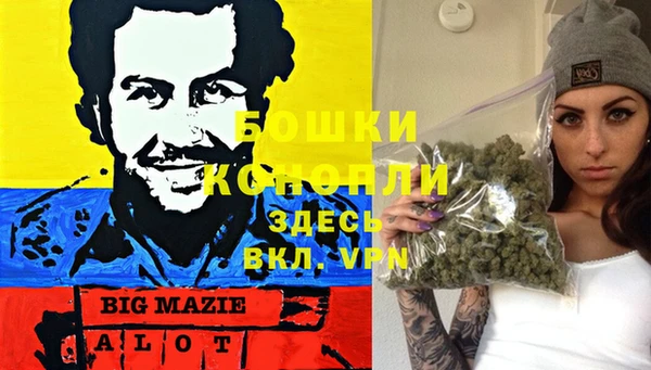 альфа пвп Гусиноозёрск