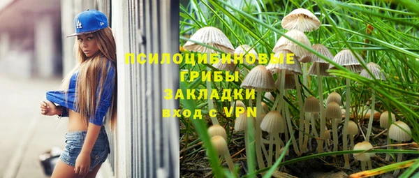 гидропоника Гусь-Хрустальный