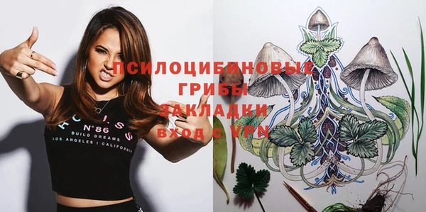 альфа пвп Гусиноозёрск