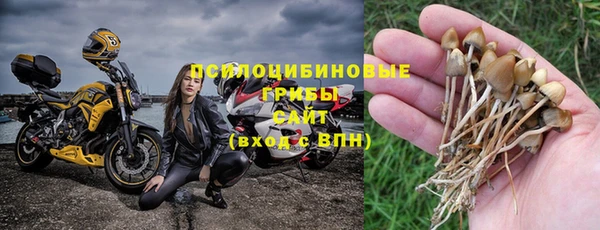 кокс Гусев