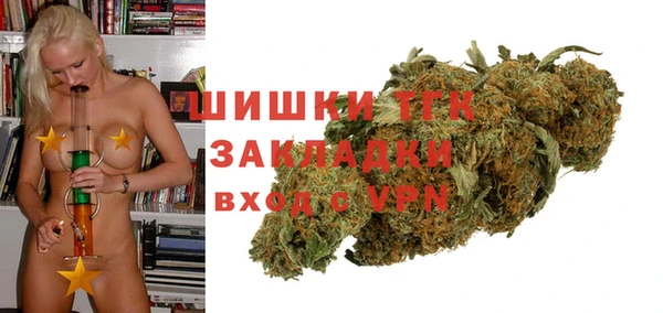 ПСИЛОЦИБИНОВЫЕ ГРИБЫ Вязники