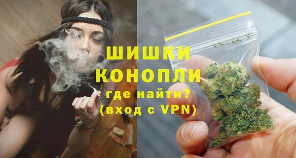 гидропоника Гусь-Хрустальный