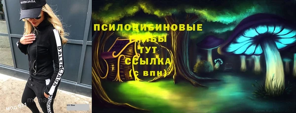 твердый Горно-Алтайск
