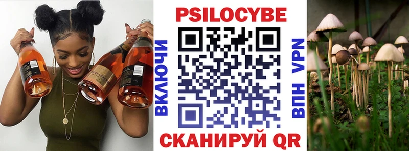 blacksprut ССЫЛКА  Серпухов  Галлюциногенные грибы Cubensis 